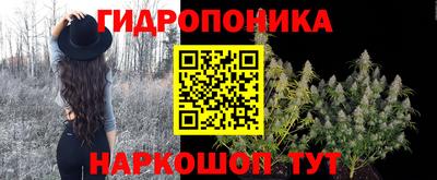 индика Ликино-Дулёво