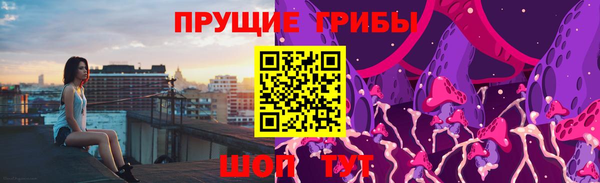 Ртищево  Галлюциногенные грибы Cubensis  Вход с VPN 