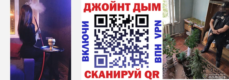 купить наркотик  Ртищево  Шишки марихуана SATIVA & INDICA 